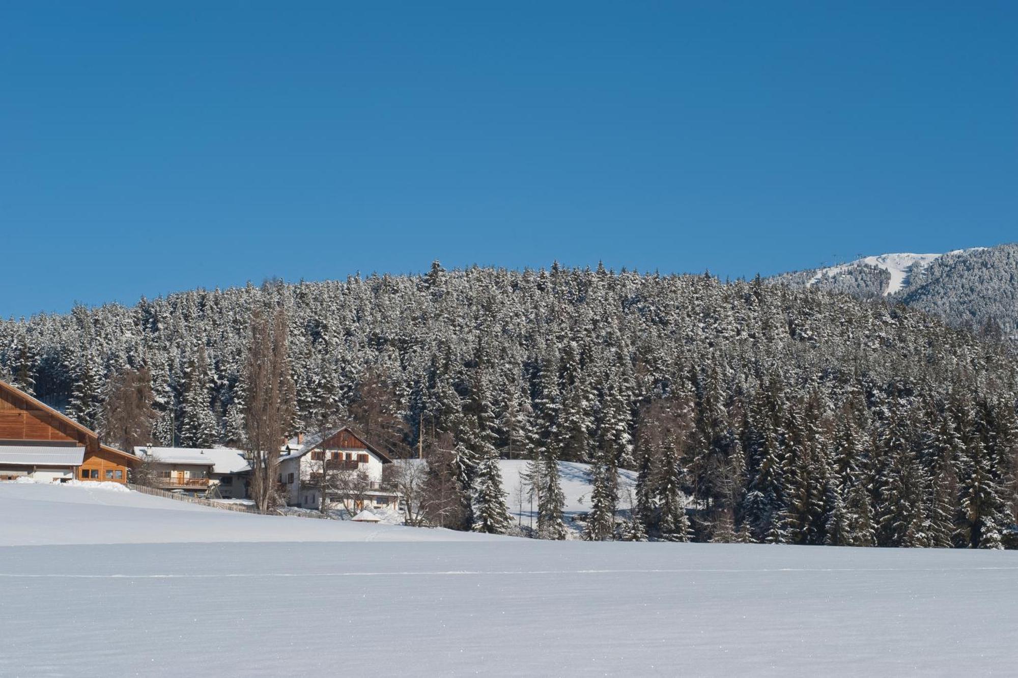 Unterpfaffstall-Hof Collalbo Bagian luar foto